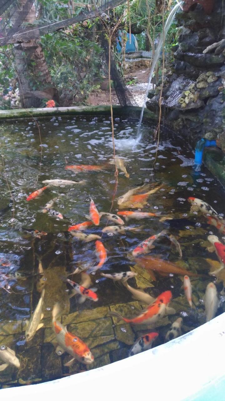 锡基霍尔 约翰利亚海滩旅馆酒店 外观 照片