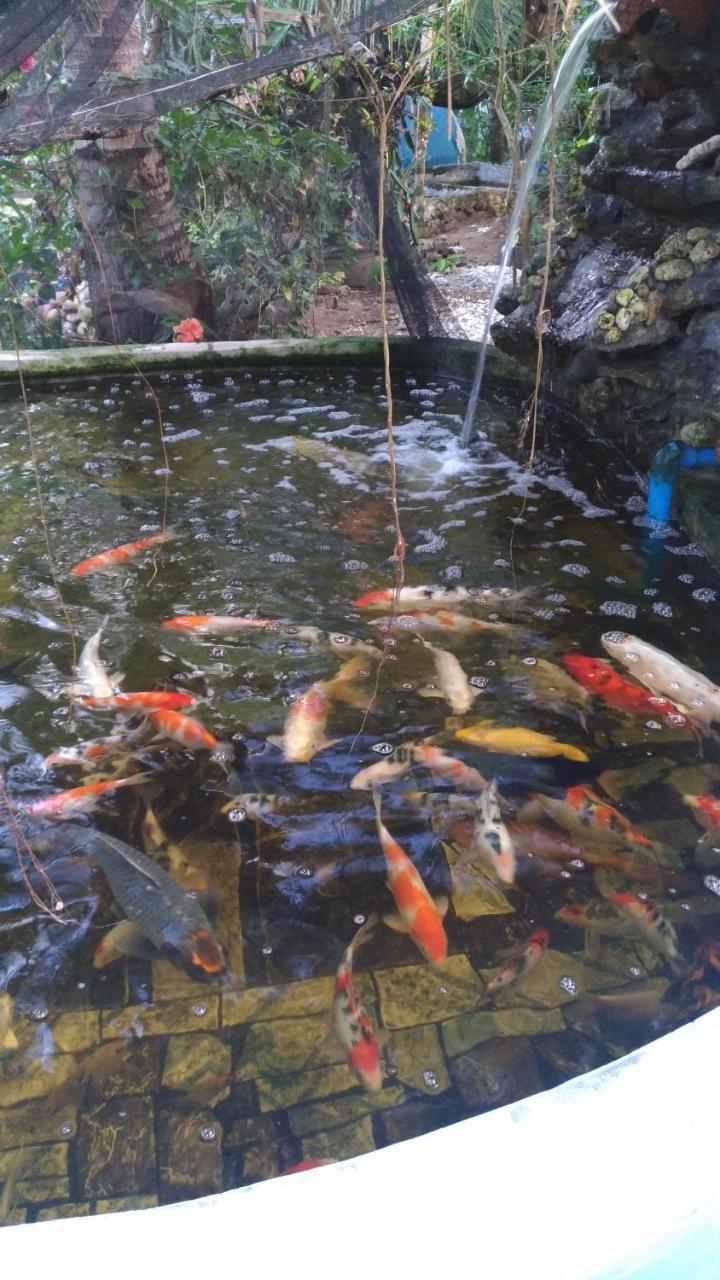 锡基霍尔 约翰利亚海滩旅馆酒店 外观 照片