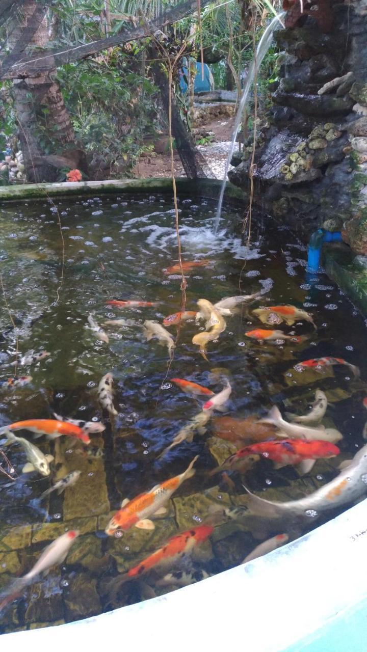 锡基霍尔 约翰利亚海滩旅馆酒店 外观 照片